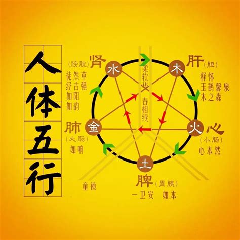 神明五行|管子 : 五行